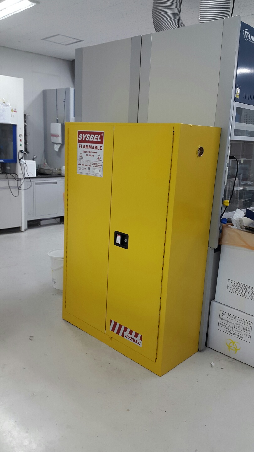 45 Gallon Safety Storage Cabinet